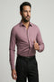 Morado
